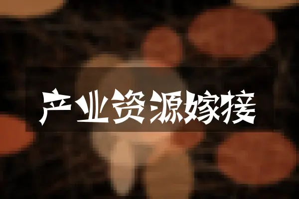 产业资源嫁接