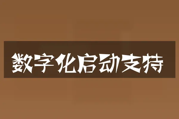 数字化启动支持