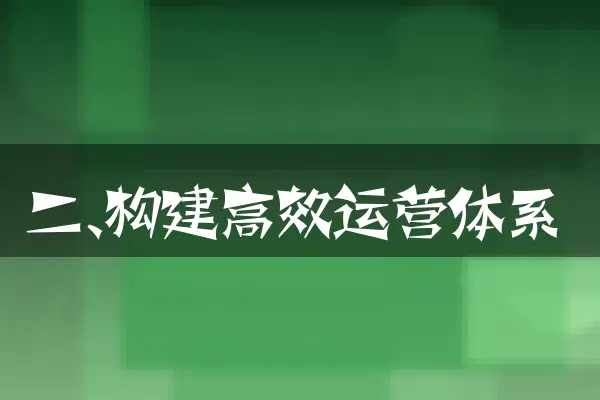 二、构建高效运营体系