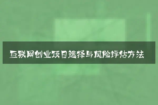互联网创业项目选择与风险评估方法