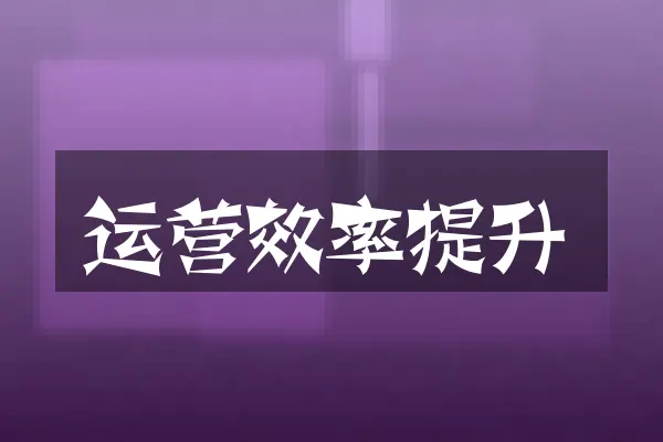 运营效率提升