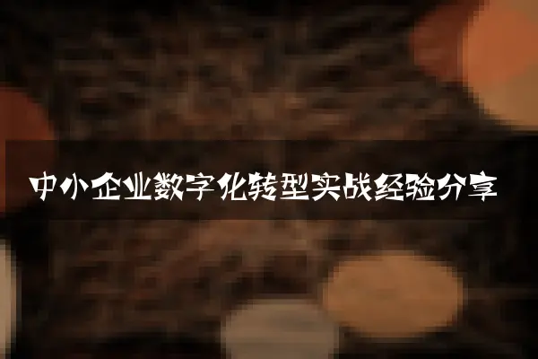 中小企业数字化转型实战经验分享
